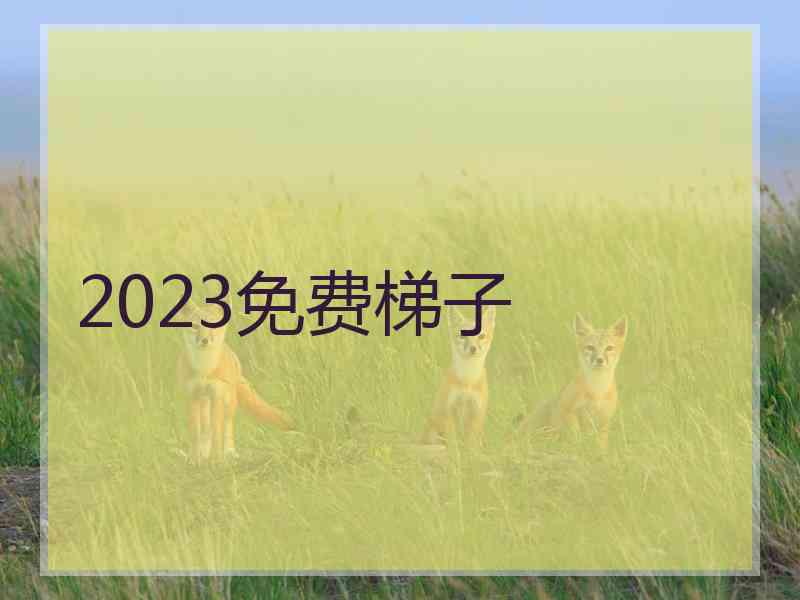 2023免费梯子