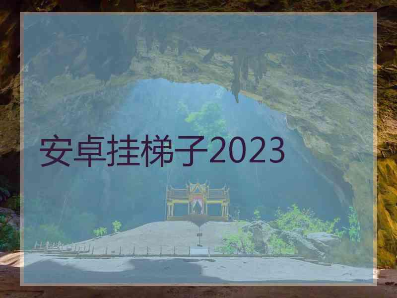 安卓挂梯子2023