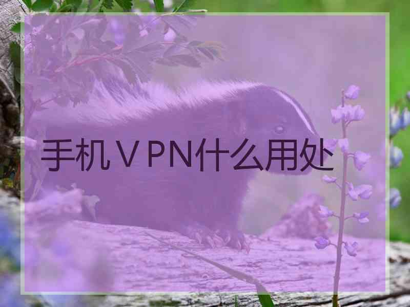 手机ⅤPN什么用处