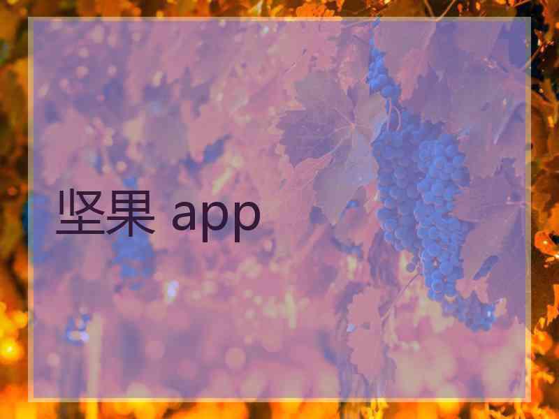 坚果 app