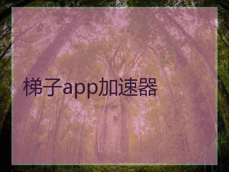 梯子app加速器