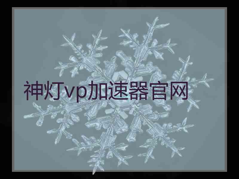 神灯vp加速器官网