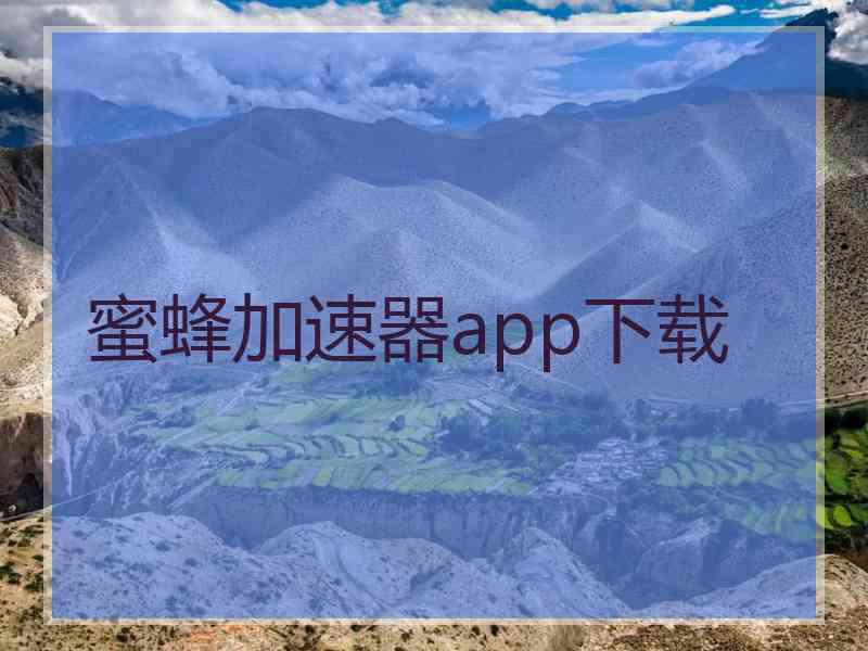 蜜蜂加速器app下载