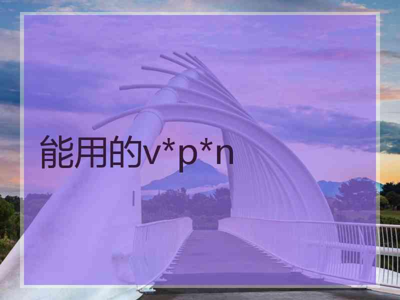 能用的v*p*n