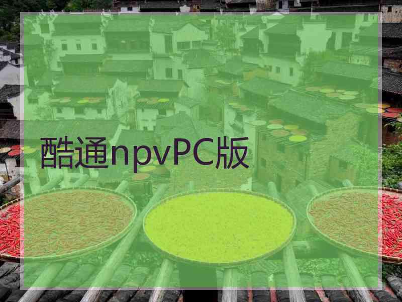 酷通npvPC版