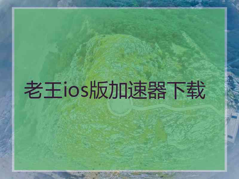 老王ios版加速器下载