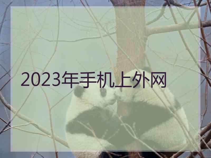 2023年手机上外网