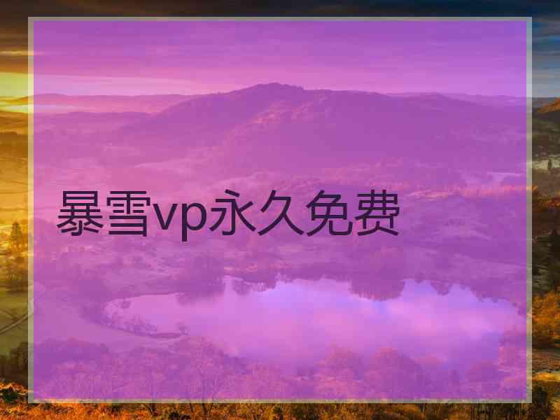 暴雪vp永久免费