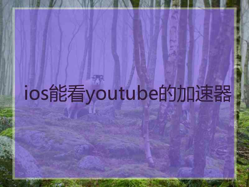 ios能看youtube的加速器