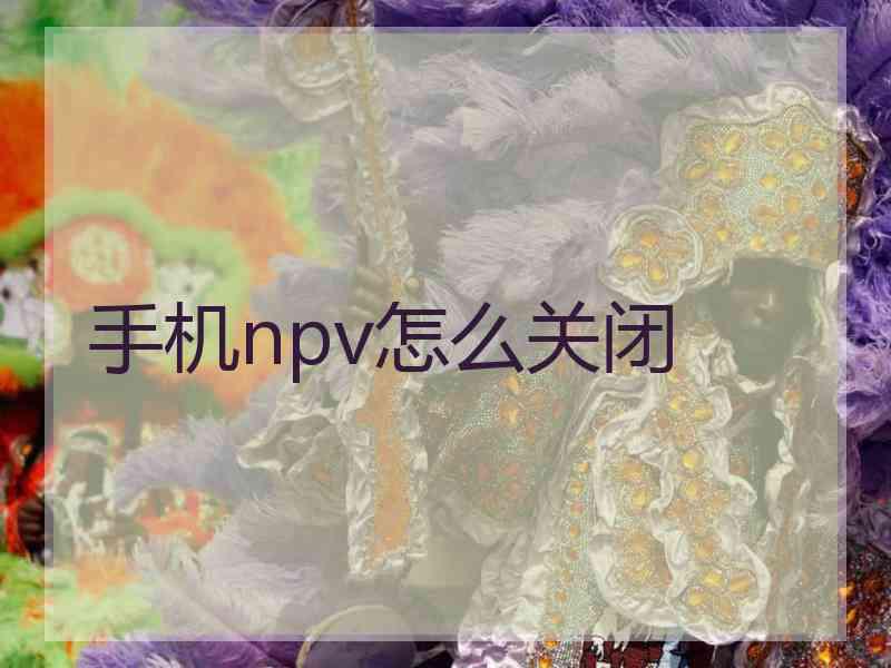 手机npv怎么关闭