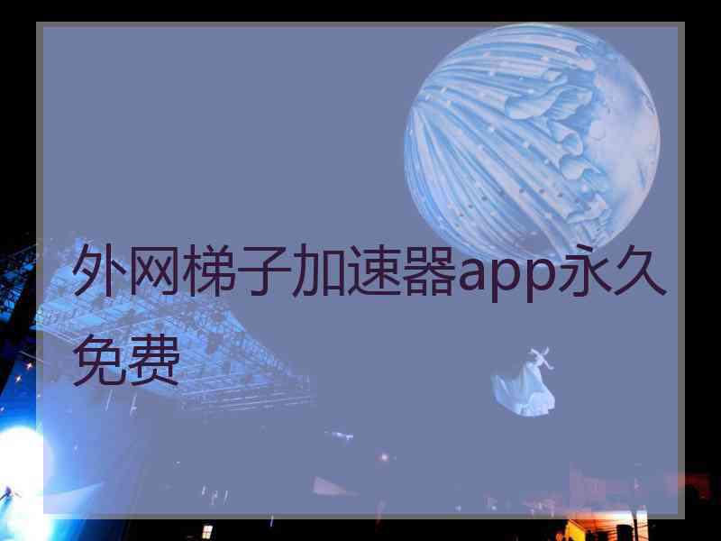 外网梯子加速器app永久免费