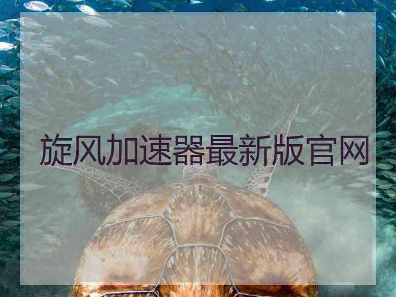 旋风加速器最新版官网