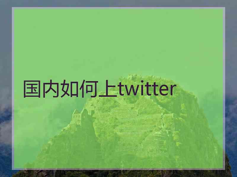 国内如何上twitter