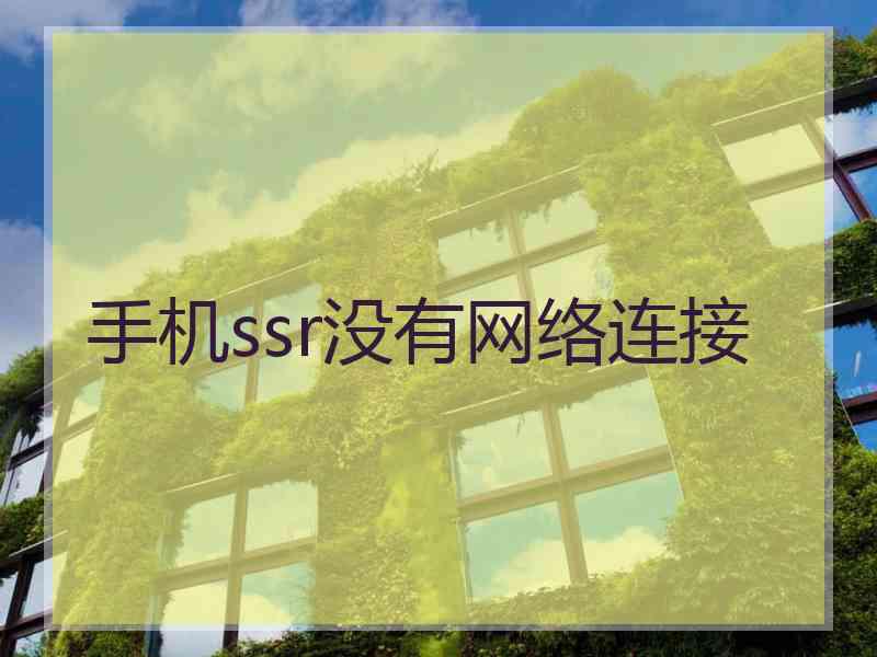 手机ssr没有网络连接