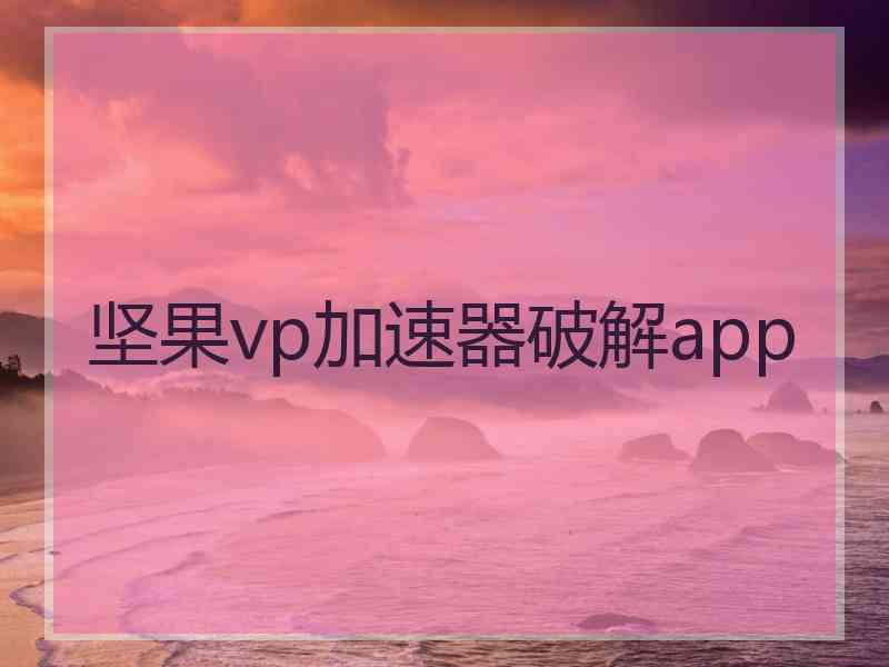 坚果vp加速器破解app