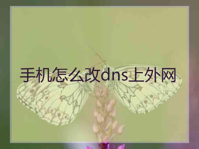 手机怎么改dns上外网