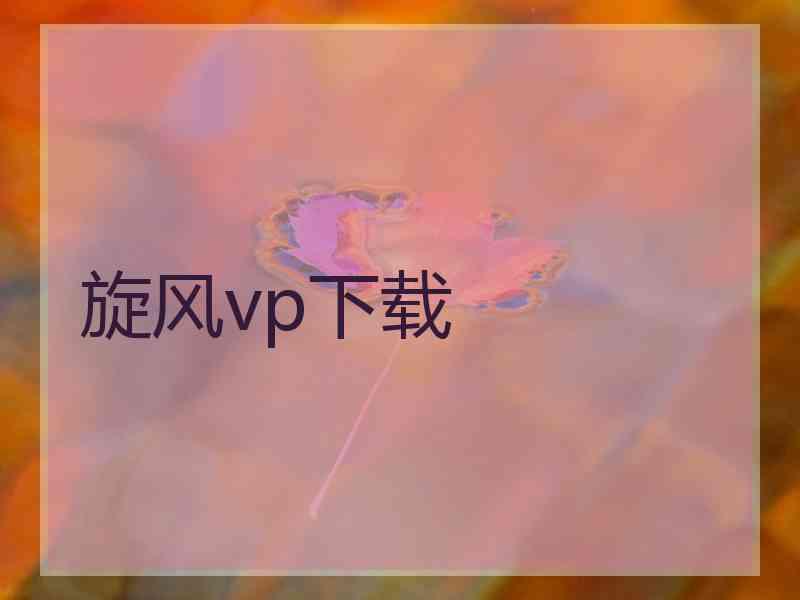 旋风vp下载