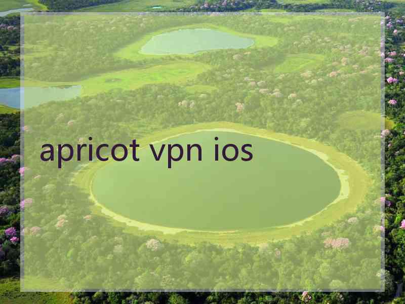 apricot vpn ios