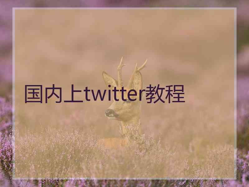 国内上twitter教程