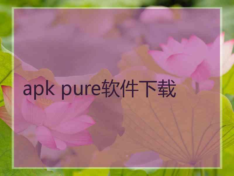 apk pure软件下载