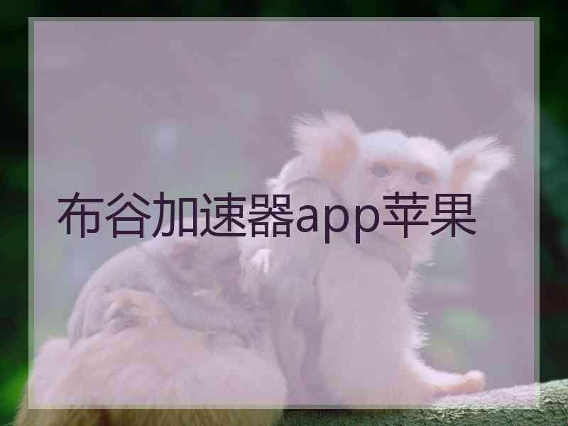 布谷加速器app苹果