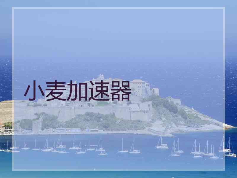 小麦加速器