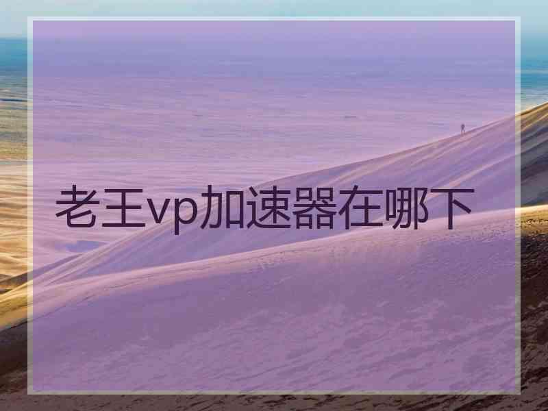 老王vp加速器在哪下