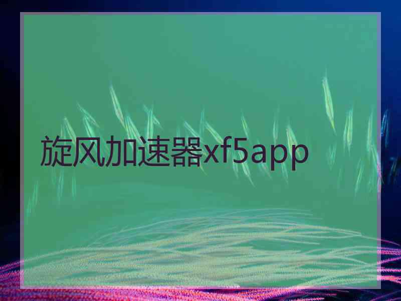 旋风加速器xf5app