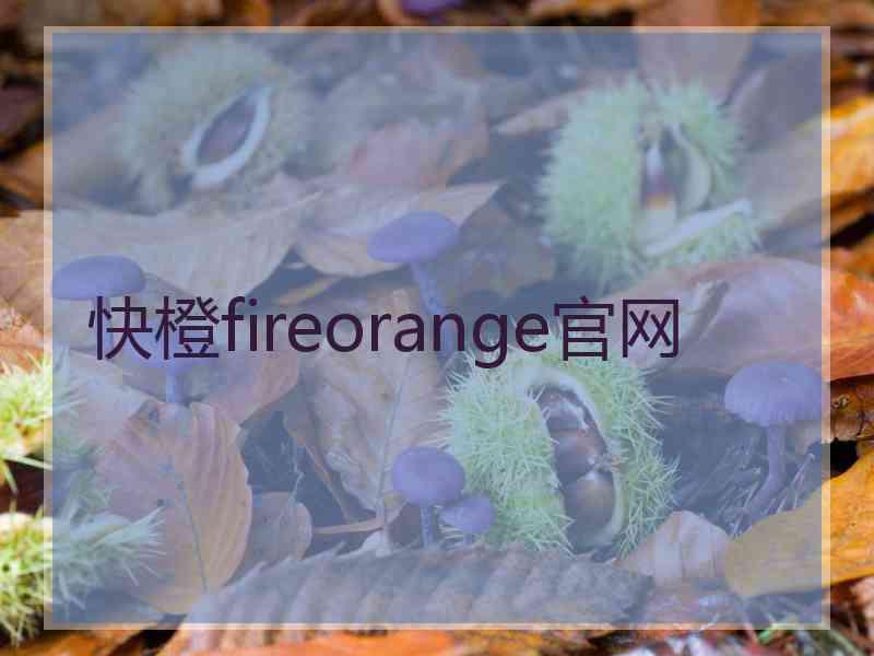 快橙fireorange官网