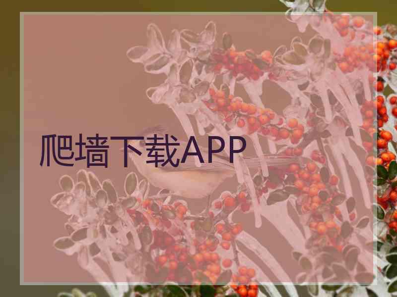 爬墙下载APP