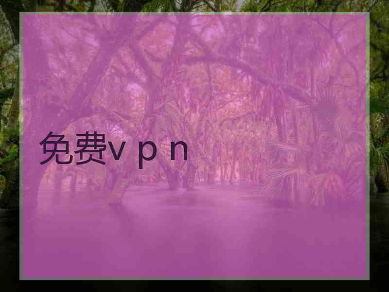 免费v p n