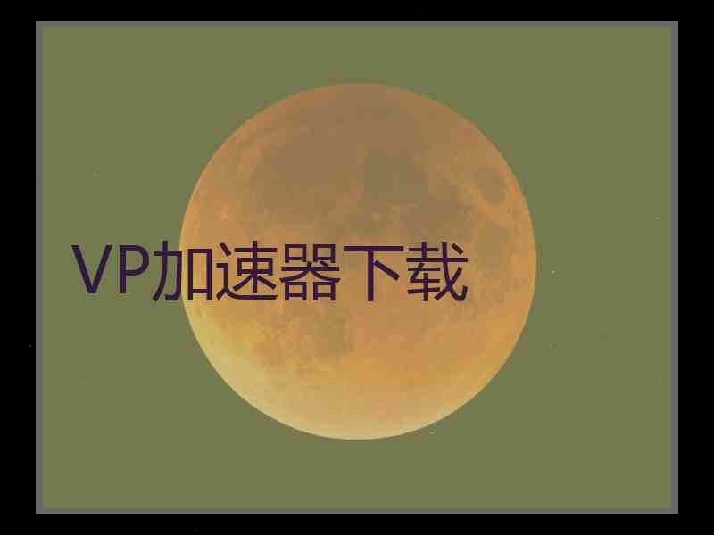 VP加速器下载