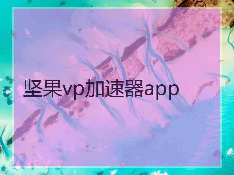 坚果vp加速器app