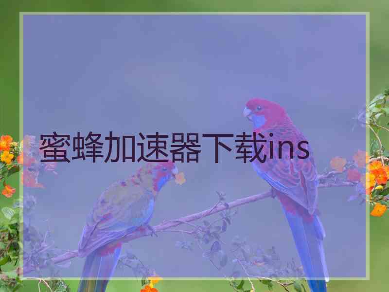 蜜蜂加速器下载ins