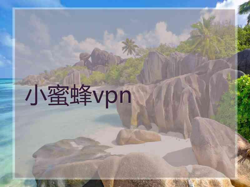 小蜜蜂vpn