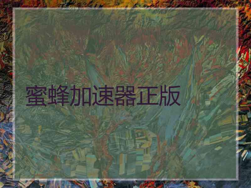 蜜蜂加速器正版