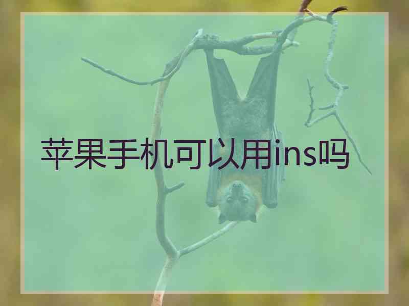 苹果手机可以用ins吗