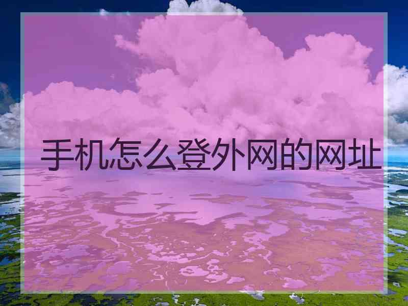 手机怎么登外网的网址