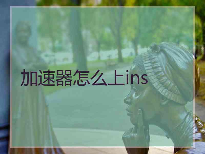 加速器怎么上ins