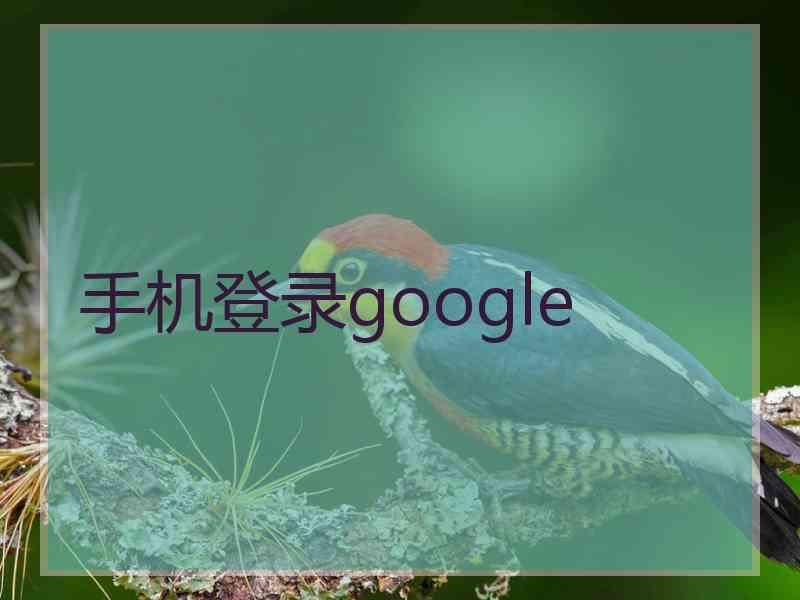 手机登录google