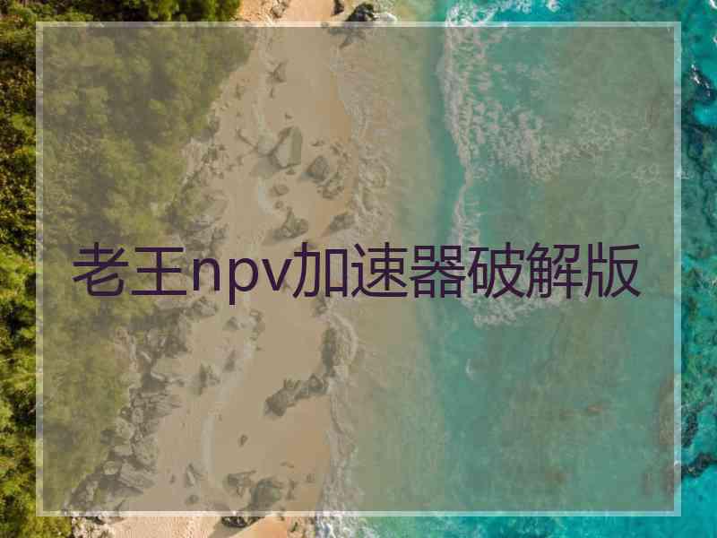 老王npv加速器破解版