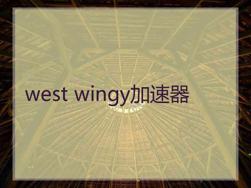 west wingy加速器