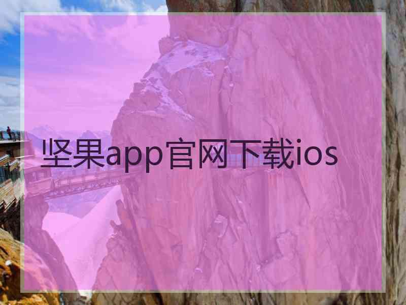 坚果app官网下载ios