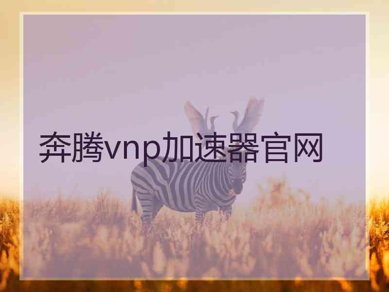 奔腾vnp加速器官网