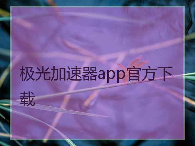 极光加速器app官方下载