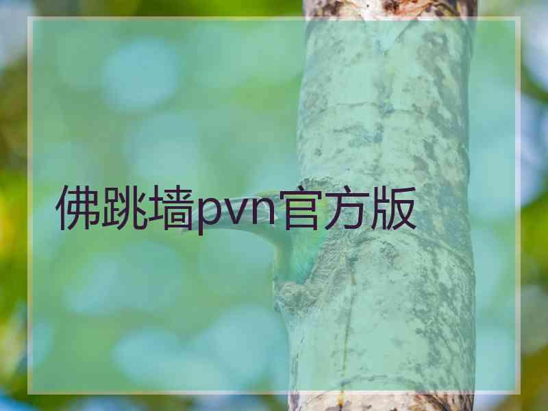 佛跳墙pvn官方版