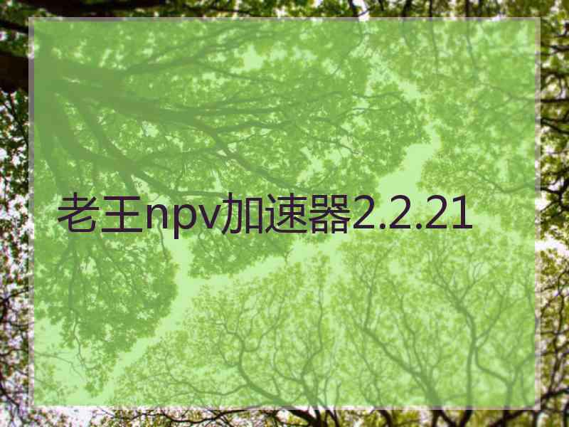 老王npv加速器2.2.21