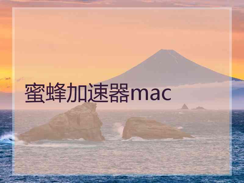 蜜蜂加速器mac