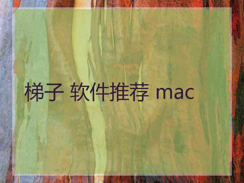 梯子 软件推荐 mac