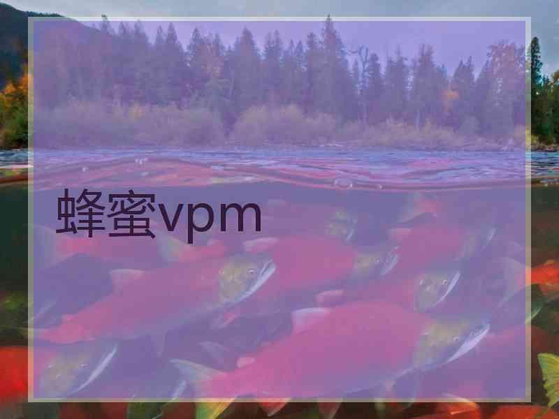 蜂蜜vpm